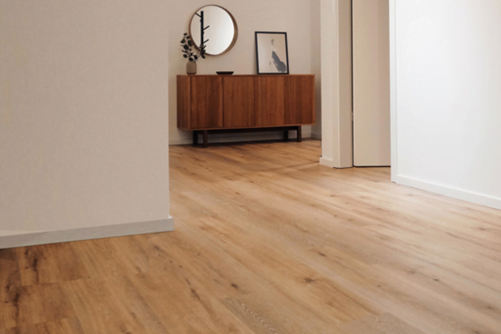 Interior Refresh & Modernization